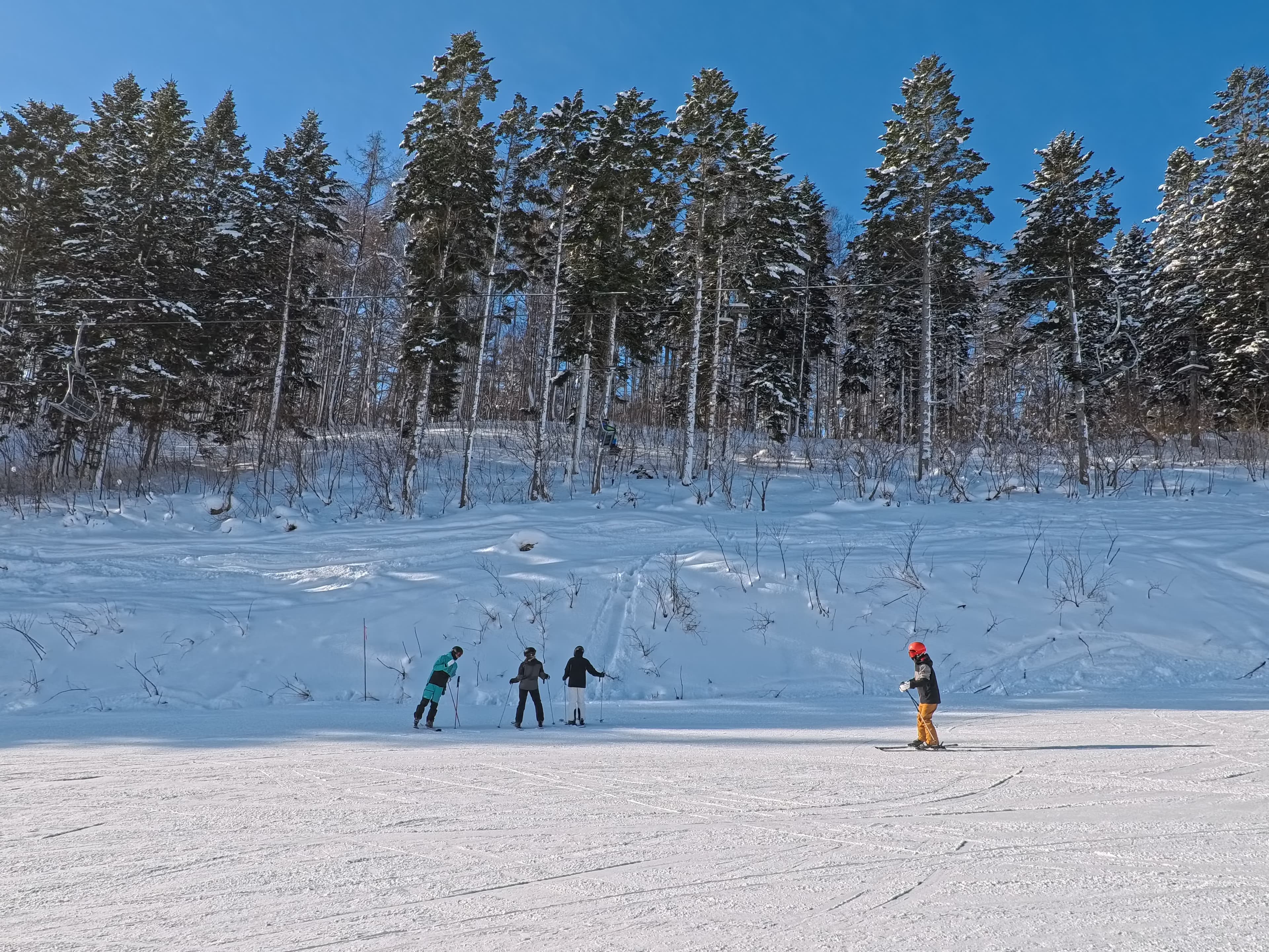 北海道滑雪保險怎麼選