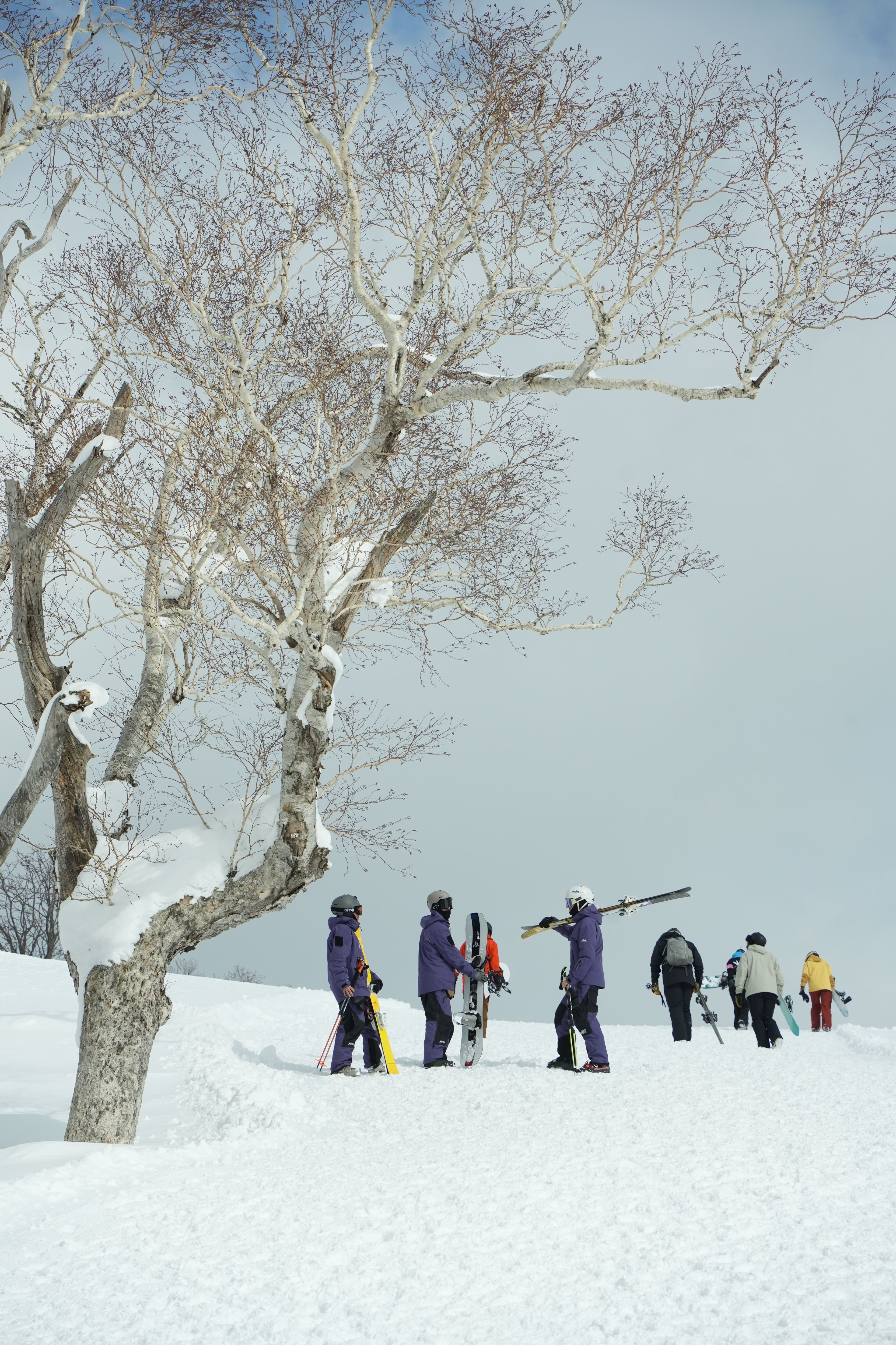 一群滑雪客站在覆滿白雪的大樹下的雪坡上,有人拿雙板有人拿單板