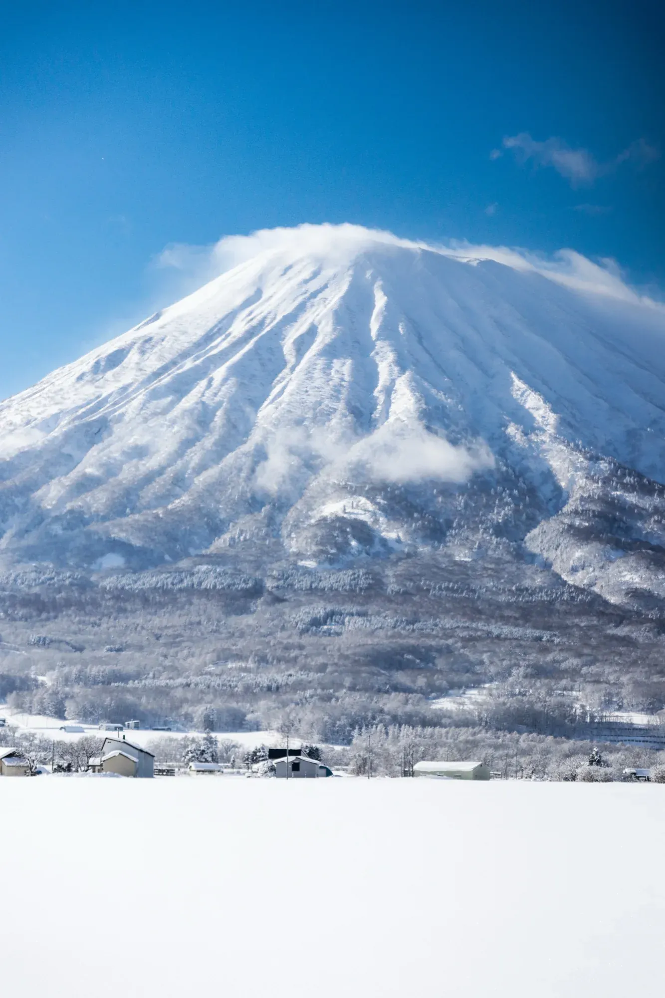冬天的羊蹄山,山頂積雪,山腳是二世谷的雪原與零星房舍