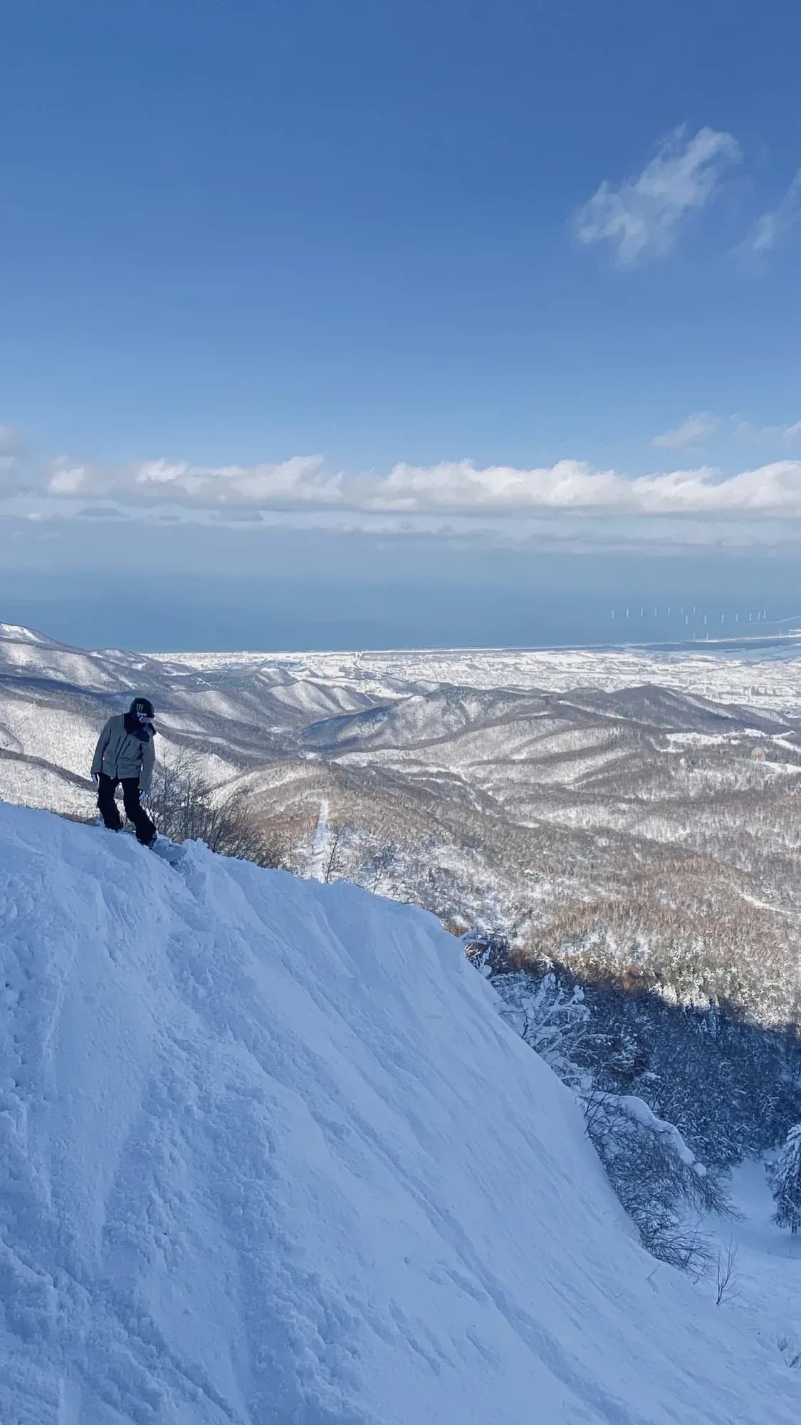 從手稻高地區山頂遠眺石狩灣,前景是未壓雪的雪坡與冬季枯林
