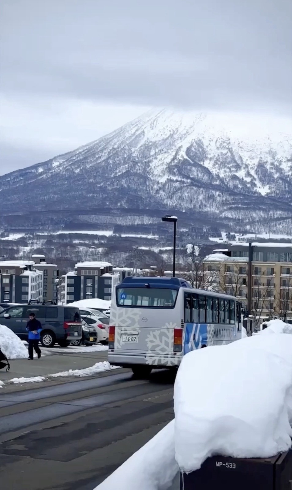 Niseko Airport Bus Compared: Resort Liner vs. White Liner vs. Chuo Bus